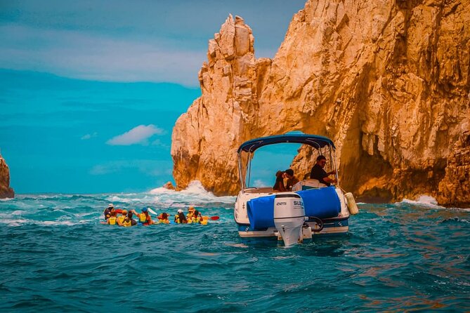 Cabo life Private Yacht in Los Cabos | 10 PAX & 3 HRS - Wildlife and Whale-Watching Odds: Great Sightings, Not a Guarantee