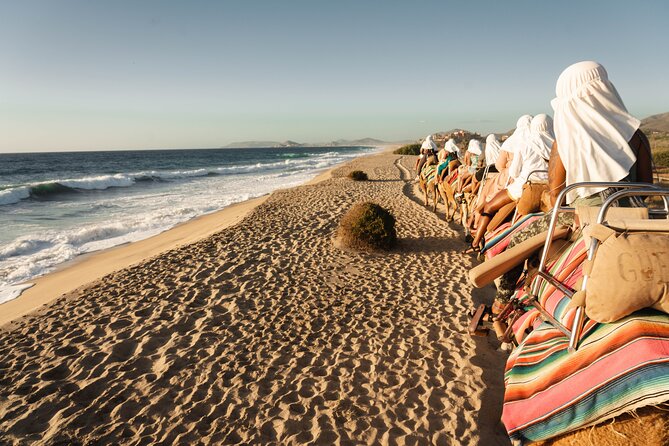Cabo Lifestyle Photoshoot - Why El Médano Beach and the Cabo Arc make your photos look instantly Cabo