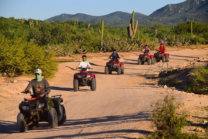 Cabo Migrino Beach and Desert ATV Tour plus Tequila Tasting - What to Bring and How to Dress for a Baja Day