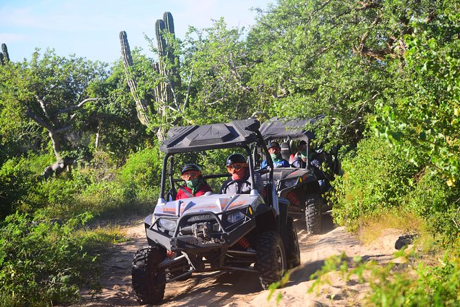 Cabo Migrino Beach & Desert Tour (Triple UTV) - Guides: Speed, Humor, Plant Facts, and the Little Stops That Stick