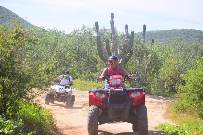 Cabo Original Real Baja 1000 Tour (Single ATV) - Key highlights worth planning for