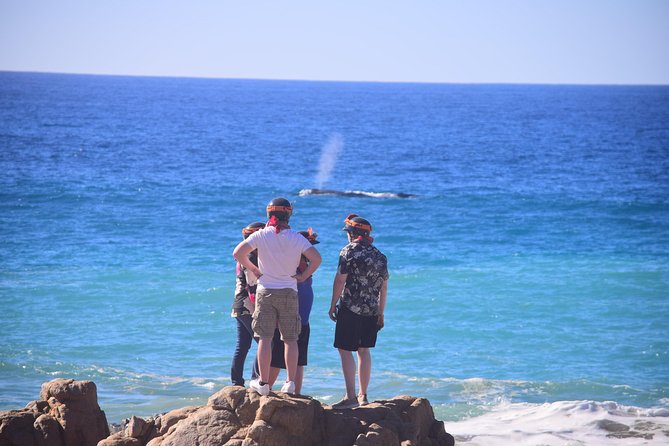 Cabo Original Real Baja 1000 Tour (Single ATV) - Safety gear is included—use it like it matters