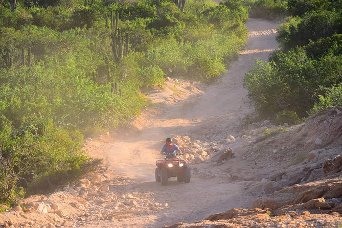 Cabo Original Real Baja 1000 Tour (Single ATV) - Photo stops and hidden moments: why this ride feels like Baja