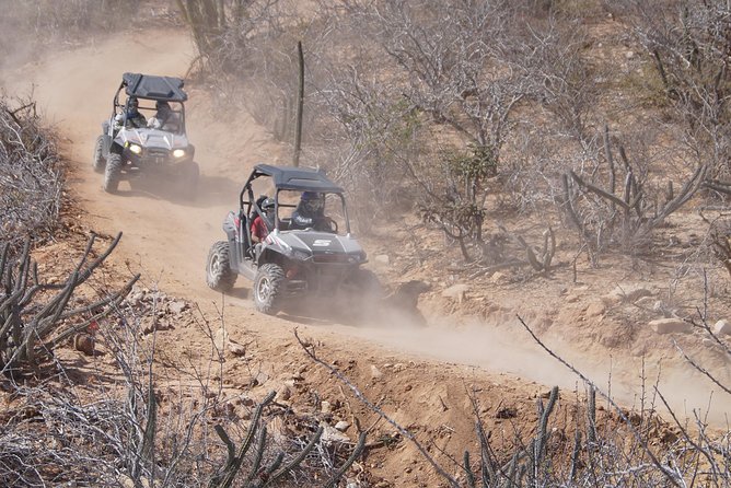 Cabo Original Real Baja 1000 Tour (Triple UTV) - Cameras, photo packages, and those desert-nature stops
