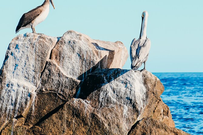 Cabo Private Catamaran: Chill Experience with Sup and Float Mat - Timing and pacing: the 4-hour rhythm for a group of 12