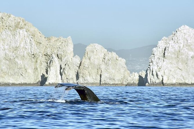 Cabo Private Transportation to Cabo - What You’re Buying: A Private Airport Pickup to Downtown Cabo San Lucas