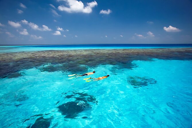 Cabo Private Yacht Cruise to El Arco with Snorkeling Adventure - Pelican Rock and Pelican Beach: where snorkeling fits in