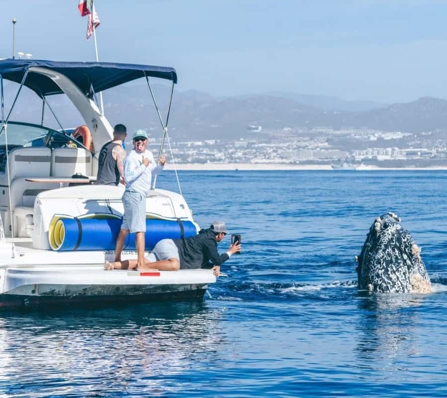 Cabo: Private Yacht Tour, Water Activities, Lunch & Drinks - Price and value: what you’re really paying for