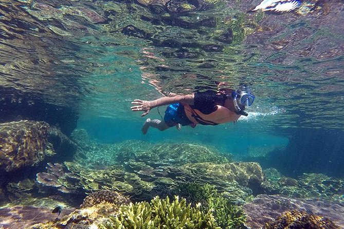 Cabo Pulmo National Park Snorkel Expedition from Cabo San Lucas - Key Highlights (What You’ll Notice Fast)