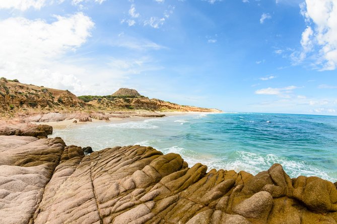 Cabo Pulmo National Park Snorkel Expedition from Cabo San Lucas - Gear, Clothes, and What to Bring (Since Towels Aren’t Included)