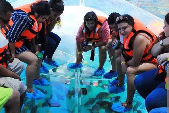 Cabo's Original Clear Boat Tour! See it all in one tour! - What You’ll Actually See Under the Glass