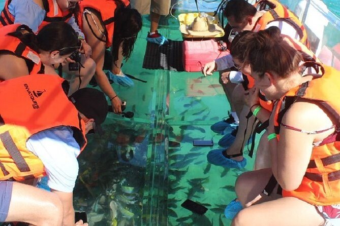Cabo's Original Clear Boat Tour: See the Arch and Land's End - Why This Clear Boat Tour Works in Cabo