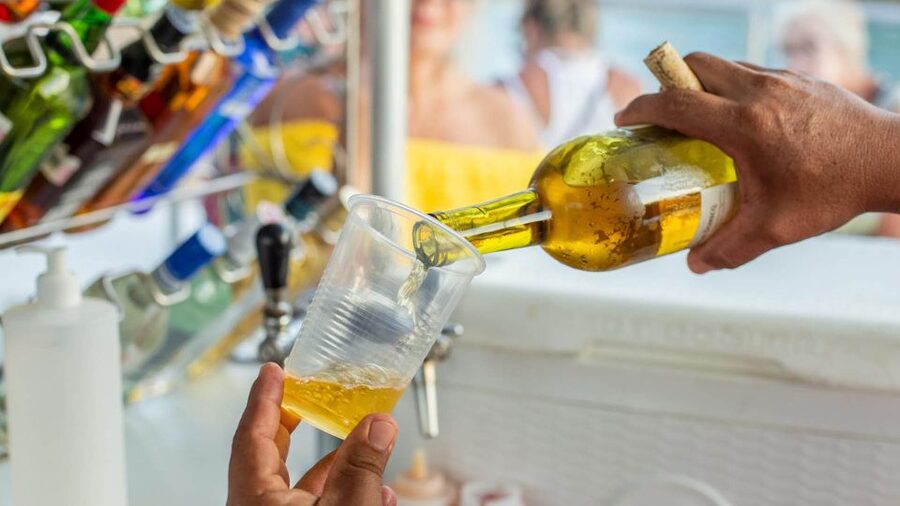 Cabo San Lucas: 2 Hour Sunset Cruise with Food and Wine - Who This Cruise Suits Best (And Who Might Want Something Else)