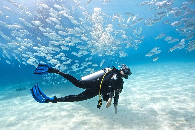 Cabo San Lucas 2 Tank Scuba Diving - Snacks, Cabo Arch Photos, and the Second Underwater Session