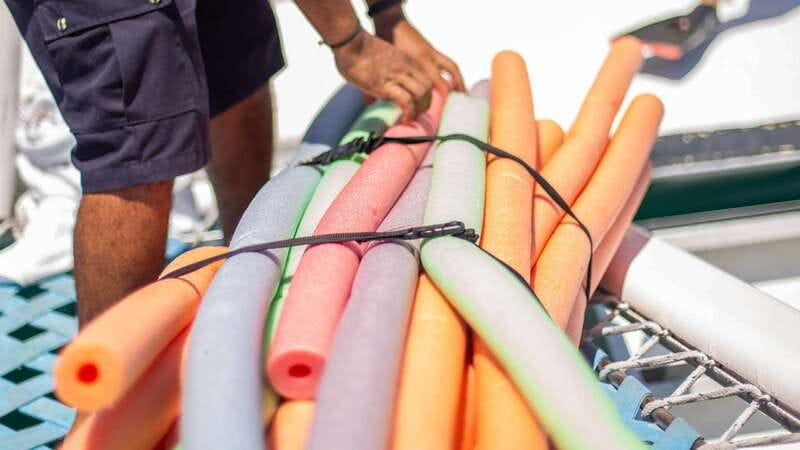 Cabo San Lucas: 4-Hour Snorkeling Cruise with Open Bar - Who this cruise fits best