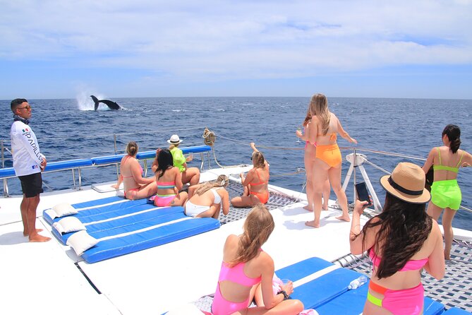 Cabo San Lucas All-Inclusive Private Catamaran Snorkeling Cruise - Whale season planning: December through March sightings