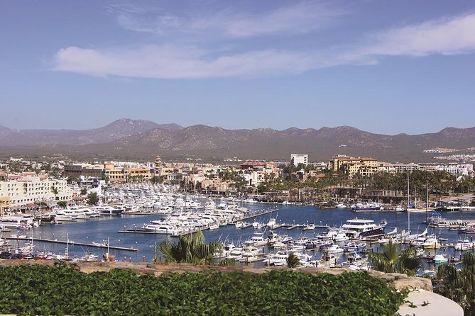 Cabo San Lucas and San Jose del Cabo Sightseeing Tour - Value and guide quality at $95: what you’re really paying for