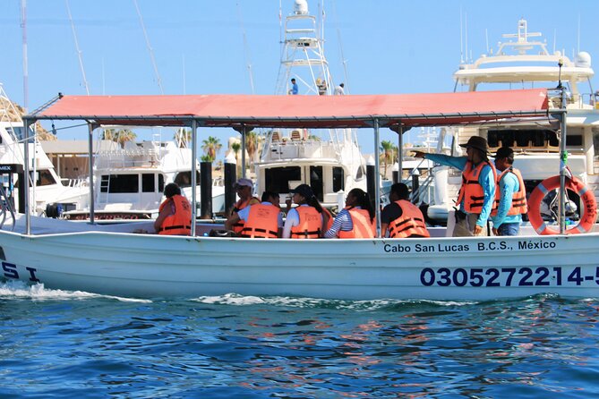 Cabo San Lucas Arc Group Tour in Glass Bottom Boat - Meeting at D Dock: Easy Once You Arrive Early