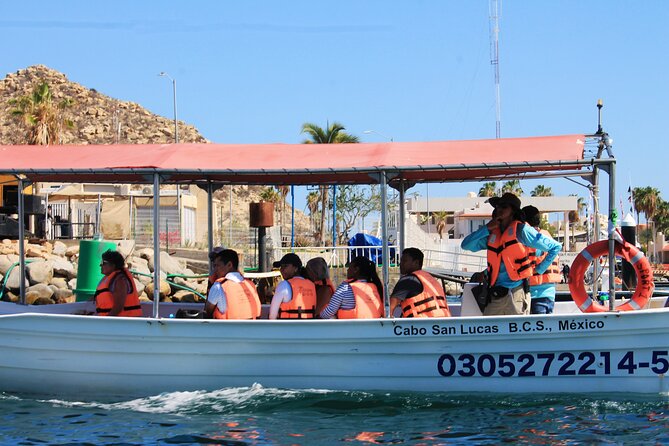 Cabo San Lucas Arc Group Tour in Glass Bottom Boat - Weather Rules: Quick Cruise Timing Depends on the Sea