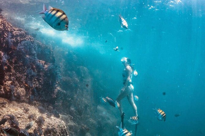 Cabo San Lucas Arch Boat Tour and Snorkeling at Pelican Rock - Price and Value: What $89.10 Buys You in Cabo
