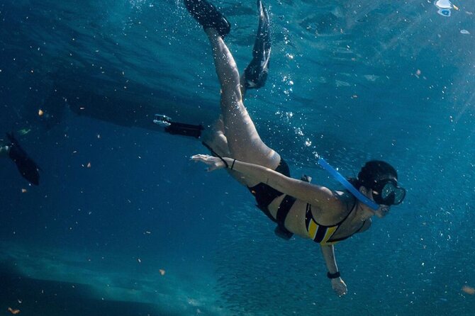 Cabo San Lucas Arch Boat Tour and Snorkeling at Pelican Rock - Language and Guide Experience: What English Coverage Really Means