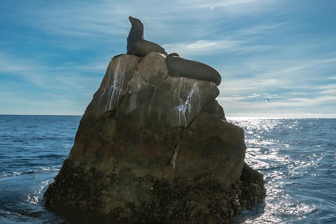 Cabo San Lucas Arch & City Tour: Glass-Bottom Boat & Tequila - Price and Value: Is $69 a Good Deal for This Mix?