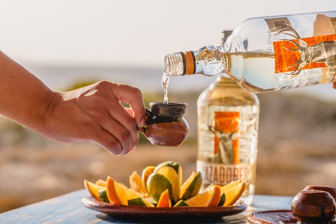 Cabo San Lucas Arch Cruise and Shopping Tour - Tequila Tasting and Fresh Quesadillas: The Included Food You’ll Remember