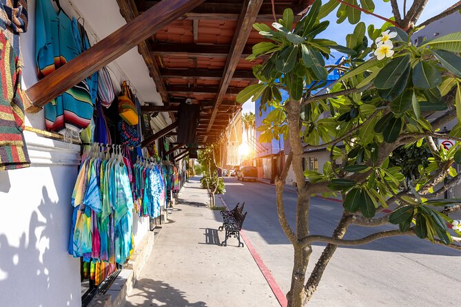 Cabo San Lucas Arch Cruise and Shopping Tour - Group Size, Pickup Timing, and Comfort on a 6-Hour Loop