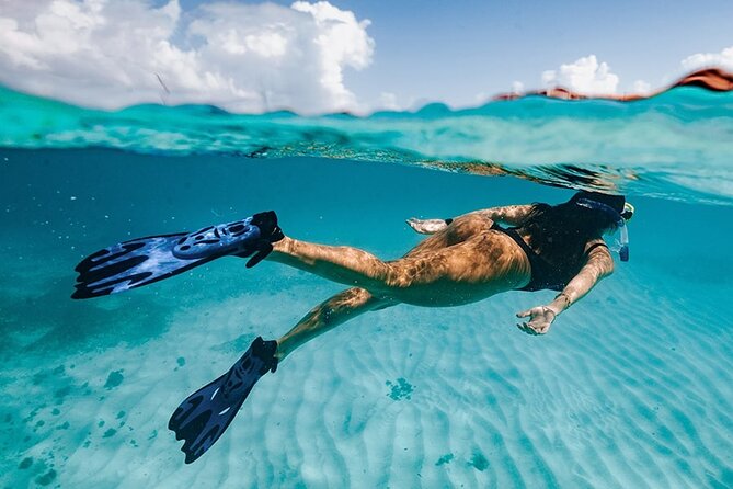 Cabo San Lucas Arch Tour and we go down to Playa del Amor - Snorkeling reality check: what to expect without gear included