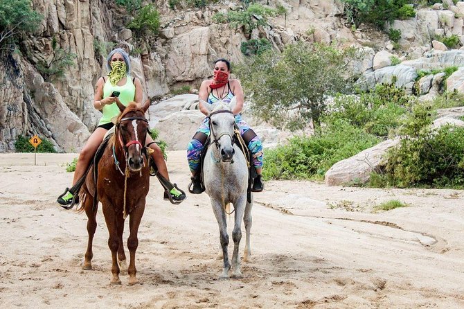 Cabo San Lucas Beach and Desert Horseback Ride - Desert Trails to Pacific Sand: The Core Experience