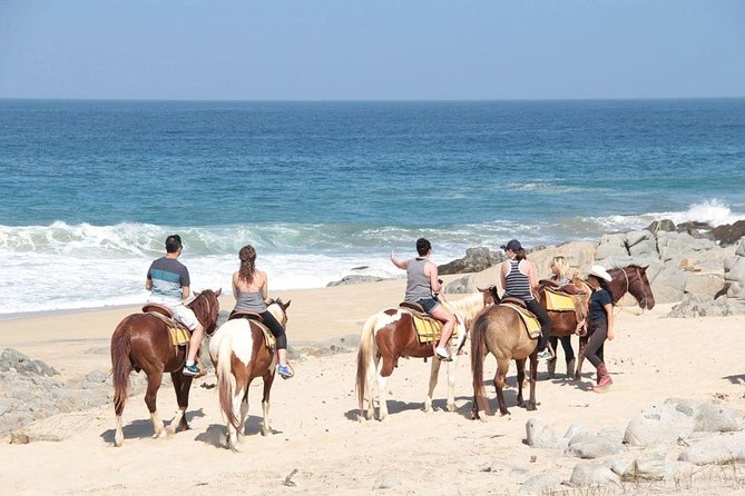 Cabo San Lucas Beach and Desert Horseback Ride - Meet Your Horse: The Briefing That Sets the Tone