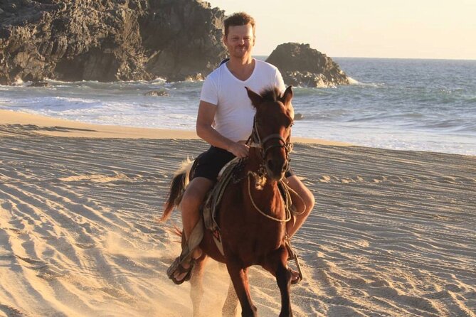 Cabo San Lucas Beach and Desert Horseback Ride - Playa Migrino: The Beach Section and Wildlife Odds