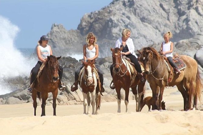 Cabo San Lucas Beach and Desert Horseback Ride - The Desert Ride Through Dried Riverbeds and Baja Trails
