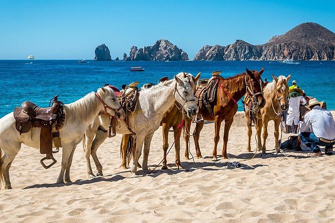 Cabo San Lucas Beach and Desert Horseback Ride - Group Size: Why Max 10 Changes the Whole Ride