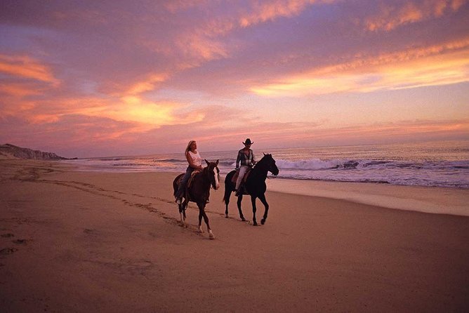 Cabo San Lucas Beach and Desert Horseback Ride - Transportation, Timing, and the One-Day Value Test