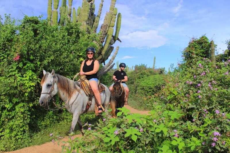 Cabo San Lucas: Beach & Desert Horseback Riding Tour - Kids and Families: The Kids Club Factor