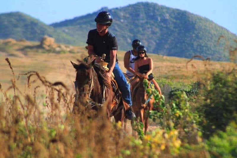 Cabo San Lucas: Beach & Desert Horseback Riding Tour - Price and Value: Is $97 Worth It for Two Hours?