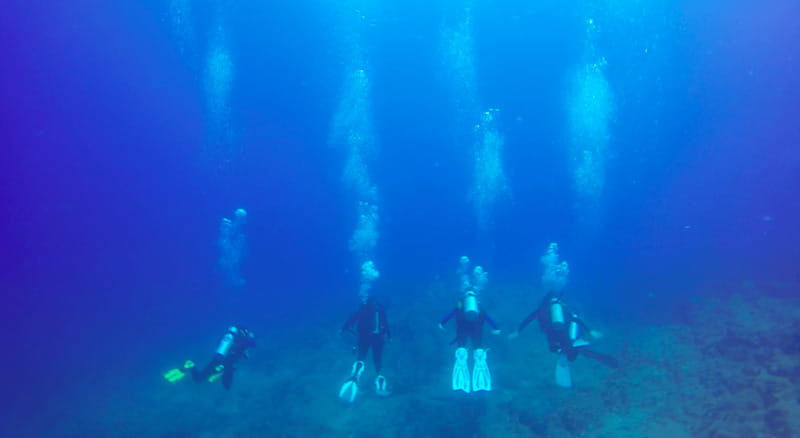 Cabo San Lucas: Beginners Diving Experience w/ Water & Snack - What’s included, what costs extra, and if it’s worth $143