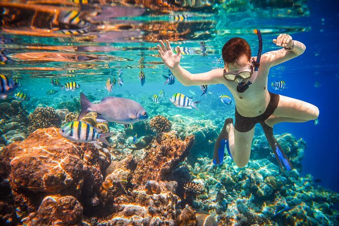 Cabo San Lucas Boat Tour and Snorkel at Pelican Rock - Price and value: when $80.10 feels fair, and when it might not