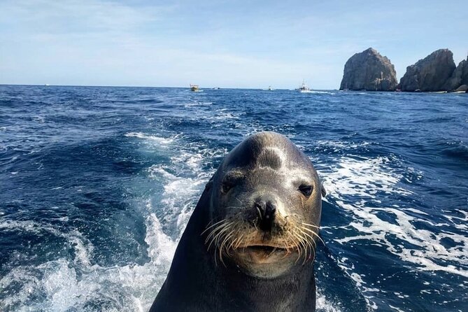 Cabo San Lucas Boat Tour and Snorkel at Pelican Rock - When schedules change: the rare reasons snorkeling time can shrink