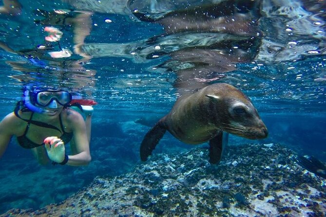 Cabo San Lucas Boat Tour and Snorkel at Pelican Rock - Land’s End stops: the Arch, Playa de los Amantes, and Divorce Beach