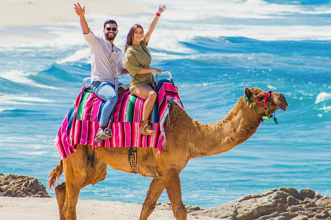 Cabo San Lucas Camel and Horseback Ride with ATV Adventure - Migriño Beach: ATV Desert Trails, Camel Encounter, and Ocean Views