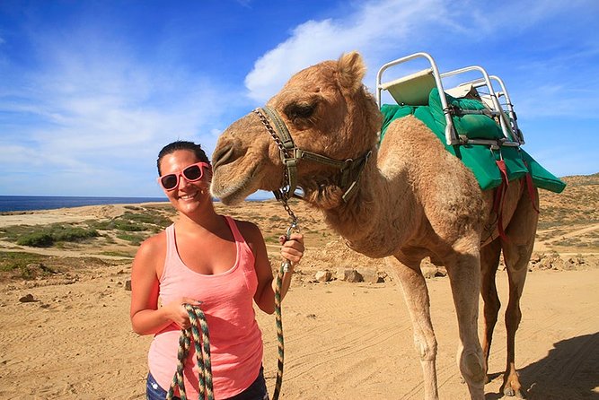 Cabo San Lucas Camel Ride and Encounter on Beach and Desert - Cabo Camel Ride and Beach-Desert Encounter: key highlights that matter