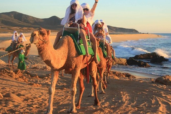 Cabo San Lucas Camel Ride and Encounter on Beach and Desert - How the pickup really works (and how to dodge the first-hour frustration)
