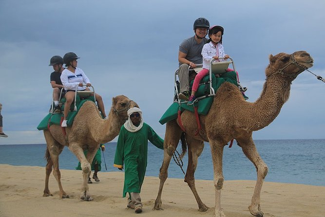 Cabo San Lucas Camel Ride and Encounter on Beach and Desert - Camel handler guidance you can actually use, not just hear
