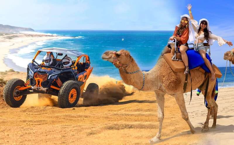 Cabo San Lucas: Camel Ride & Off-Road UTV Combo Adventure - Migriño Beach Dunes: White Sand and Ocean-Side Cliff Views