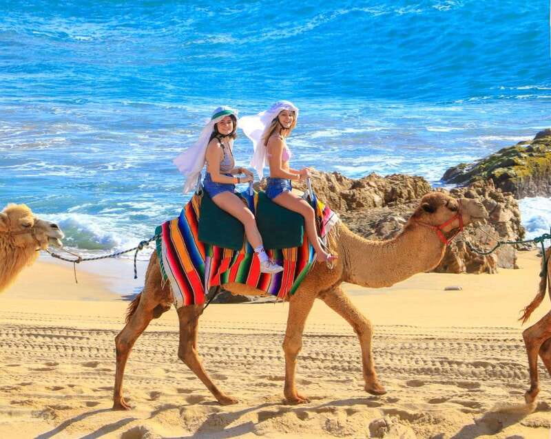 Cabo San Lucas: Camel Ride & Off-Road UTV Combo Adventure - Safety, Comfort, and Who Should Skip This One
