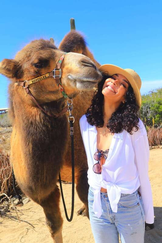 Cabo San Lucas: Camel Ride & Off-Road UTV Combo Adventure - The Real Value of an Off-Road + Camel Combo at $118