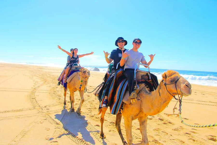 Cabo San Lucas: Camel Ride on the Beach - Who this is best for (and who should skip)