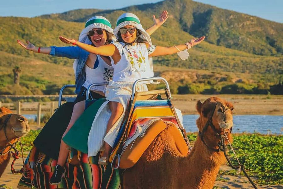 Cabo San Lucas: Camel Ride on the Beach - Camel ride in the Cabo desert: where the experience actually happens